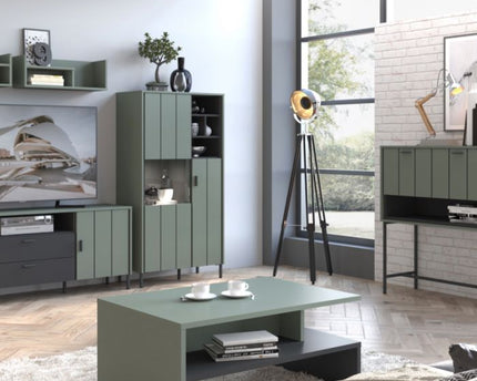 Arundel 2 Door Display Cabinet in Green/Grey