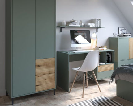 Darwin Wardrobe 2 Door 2 Drawer in Green/Oak