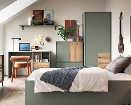 Darwin Wardrobe 2 Door 2 Drawer in Green/Oak