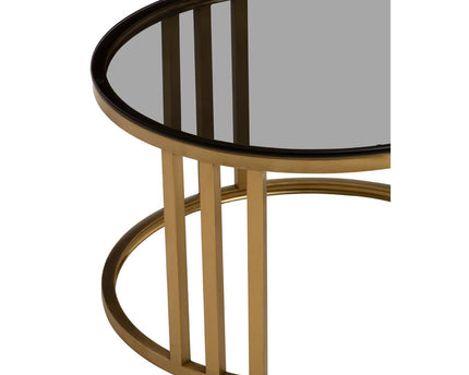 Alana Set of 2 Gold Base and Glass Top Round Nesting Coffee Tables